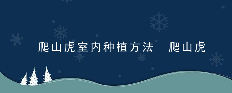爬山虎室内种植方法 爬山虎怎么种